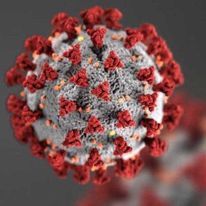 Corona Virus Artists Rendering